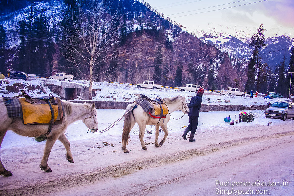 snowfall-pics-india-travel-blog